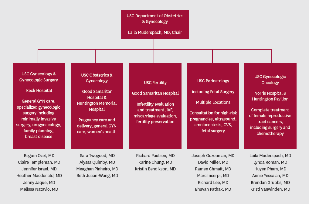 OBGYN Organization Chart