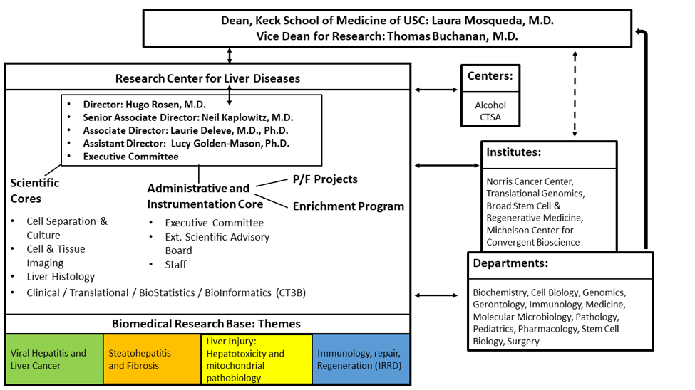 Center Structure