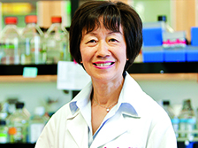 Amy S. Lee, PhD