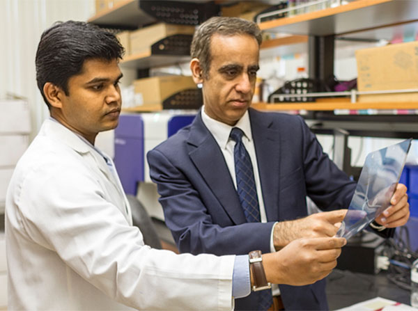 Ramakrishnan “Ram” Gopalakrishnan and Preet Chaudhary review images related to their study of primary effusion lymphoma (PEL)