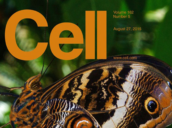 August 2015 cover of Cell