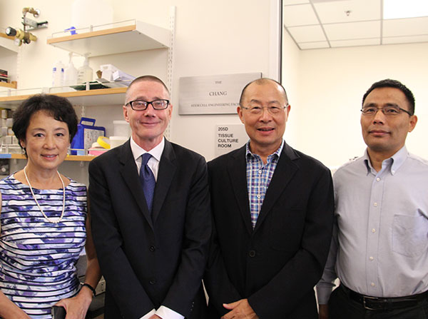 From right, Qi-Long Ying, director of the Chang Stem Cell Engineering Facility; Daniel Chang; Andy McMahon, director of the Eli and Edythe Broad Center for Regenerative Medicine and Stem Cell Research at USC; and Cai Li Chang (Photo by Cristy Lytal)