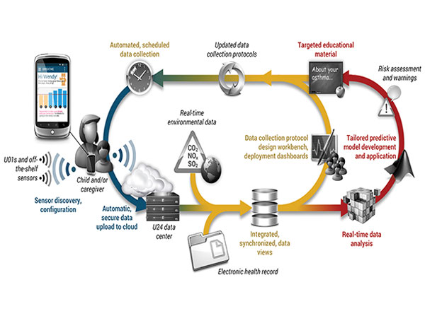 USC scientists are helping develop a smartphone app and cloud services platform that will predict the probability of a child’s future asthma attack.