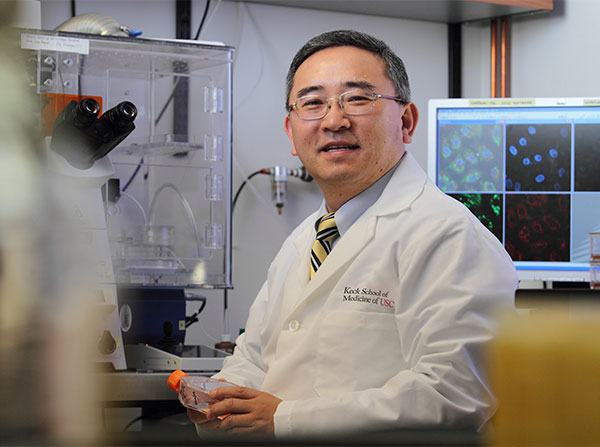 Distinguished Professor Jae Jung, PhD, is among this year’s recipients of the National Cancer Institute (NCI) Outstanding Investigator Award.