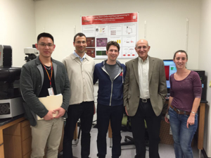 Graduate student Vincent Haoze Yu, Broad Clinical Fellow Rodrigo Martínez Monedero,  Michael Sidgmore, principal investigator Neil Segil and graduate student Louise Menendez in the Choi Family Therapeutic Screening Facility at the Eli and Edythe Broad CIRM Center for Regenerative Medicine and Stem Cell Research at USC (Photo courtesy of HSC News)