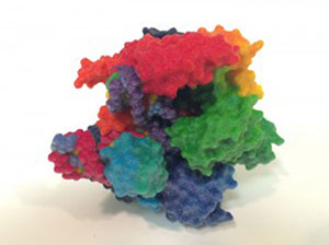 3-D printed Cas9 enzyme that snips a DNA sequence at a location identified by CRISPR. (Photo courtesy of the NIH 3D Print Exchange, National Institutes of Health)