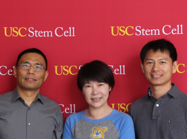 Biotech entrepreneur Min Zhou supports scientific serendipity in the USC Stem Cell laboratory of Qi-Long Ying