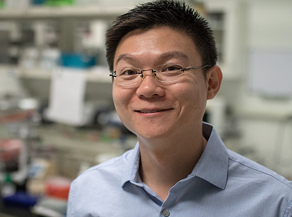 USC Stem Cell scientist Zhongwei Li is writing a recipe for a kidney