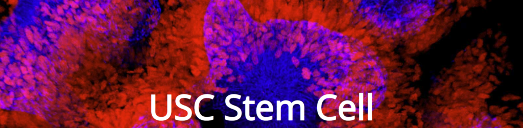 USC Stem Cell