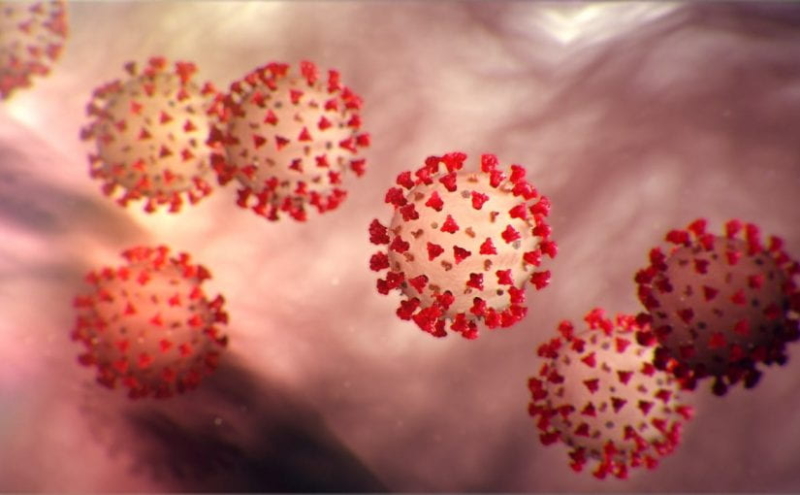 USC launches website with latest coronavirus information