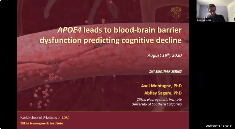 APOE4 Leads to Blood–Brain Barrier Dysfunction Predicting Cognitive Decline