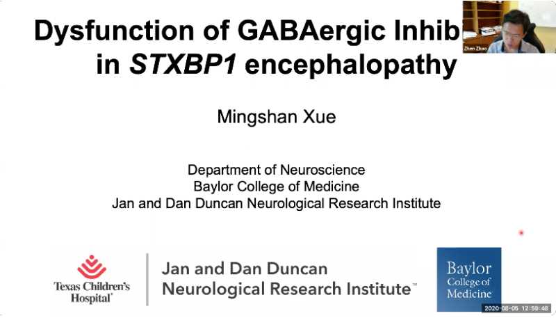 Dysfunction of GABAergic inhibition in STXBP1 encephalopathy