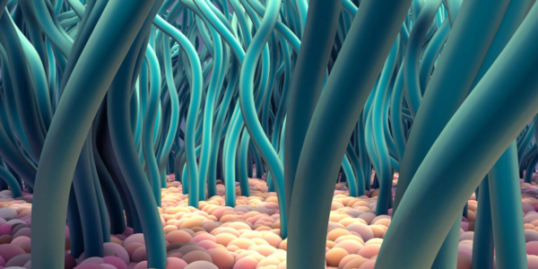 Could mapping tiny hairlike structures help treat lung illnesses?