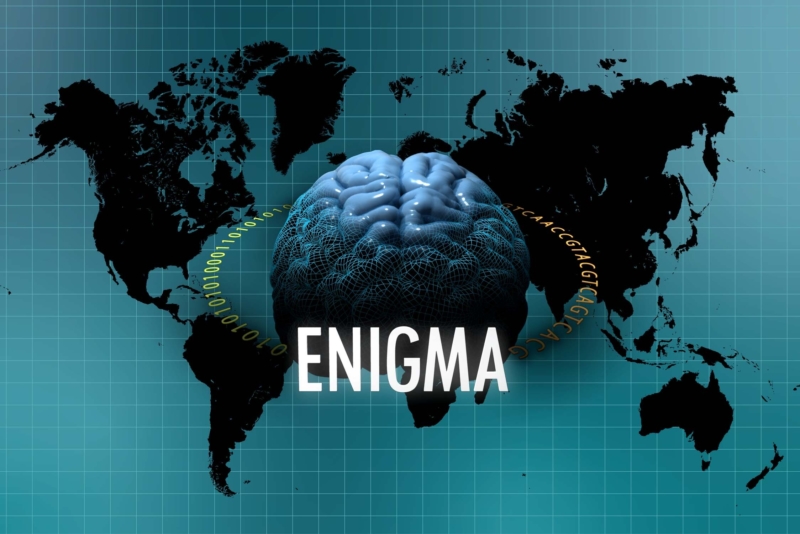 The Enhancing NeuroImaging Genetics through Meta-Analysis (ENIGMA) Consortium is a collaborative network of researchers working together on a range of large-scale studies that integrate data from institutions across the globe. Organized into Working Groups that tackle questions in neuroscience, genetics, and medicine, ENIGMA studies have analyzed neuroimaging data from thousands of subjects. Photo credit: USC Stevens INI.