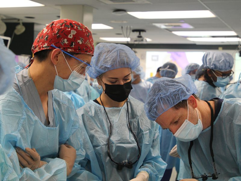 Trainees practice plastic surgery techniques