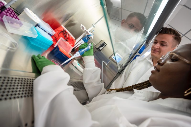 Students in the teaching lab at USC's stem cell research center (Photo by Chris Shinn)