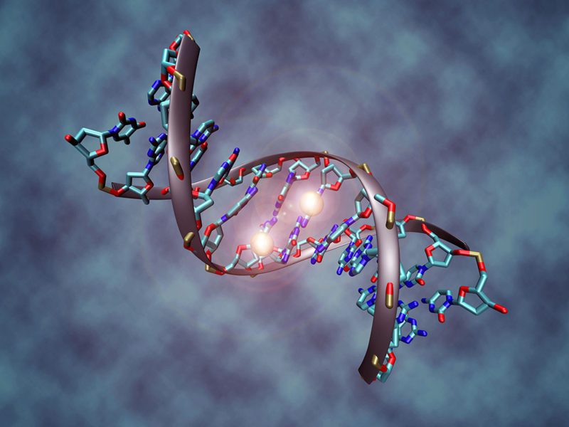 Image of DNA