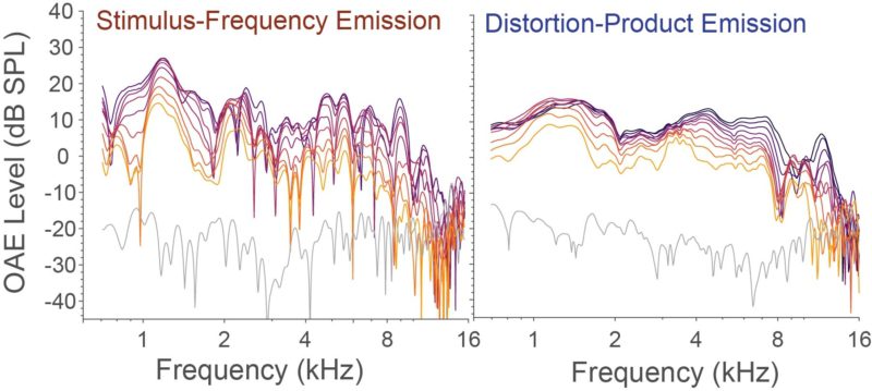 Two types of otoacoustic emissions recorded from the cochlea of a normally hearing human subject across five octaves and multiple stimulus levels (denoted by color). Image Credit: Carolina Abdala, Ph.D.