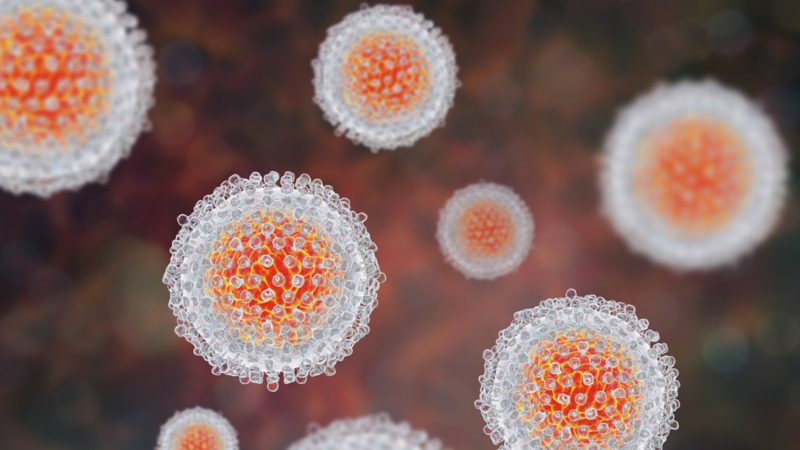 Hepatitis C virus model, 3D illustration. A virus consists of a protein coat, capsid, surrounding RNA and outer lipoprotein envelope with two types of glycoprotein spikes, E1 and E2