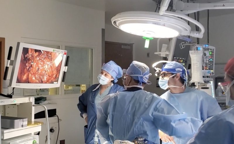 The Keck Medicine of USC surgical team evaluates the integrity of a bladder during the research and development stage of bladder transplantation. (Photo courtesy of USC Urology)